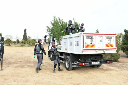 Zəfər Günü ilə bağlı Bakıda ağacəkmə aksiyası keçirilib
