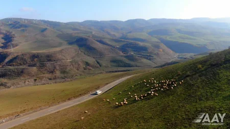 Yardımlıda 23,5 km uzunluğunda avtomobil yollarının əsaslı təmiri yekunlaşıb