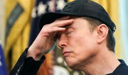 Маск удалил пост о связях Трампа с Эпштейном