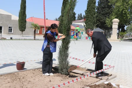 Samuxda ağacəkmə və təmizlik aksiyası keçirilib