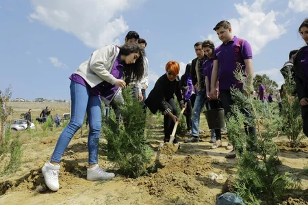Tünzalə Ağayeva Dostluq Parkında ağacəkmə aksiyasına qatılıb