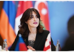 Gürcüstanın XİN başçısı: ABŞ hələ ölkəmizlə bağlı mövqeyini formalaşdırmayıb