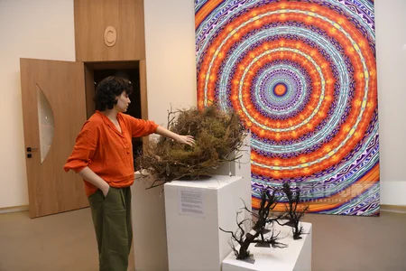 “Nine Sense” art-mərkəzində “ART-ELKA” sərgisinin açılışı olub