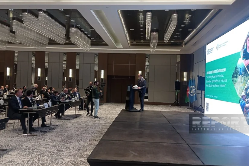 Azərbaycanda fındıq bağlarının peyk və dronla xəritəsi hazırlanıb