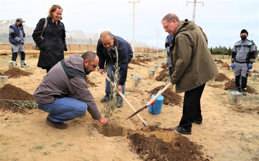 US Embassy holds tree-planting event to thank local staff