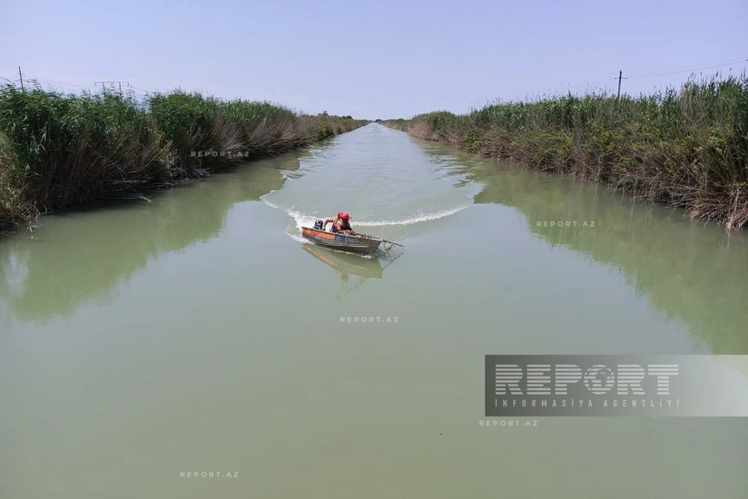 Hacıqabulda batan 91 yaşlı kişinin meyiti tapılıb - YENİLƏNİB-2