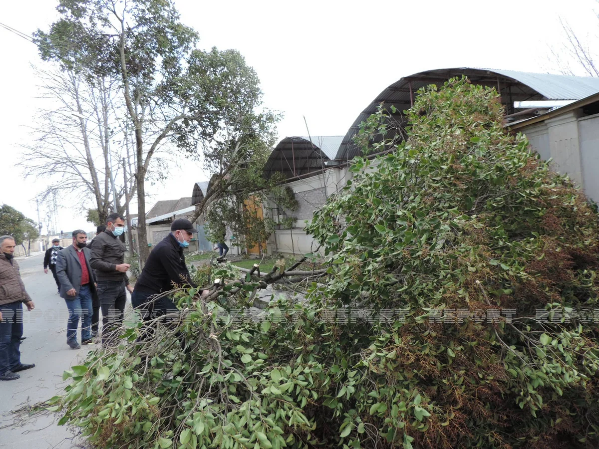 Güclü külək Ağsuda bir sıra fəsadlar törədib