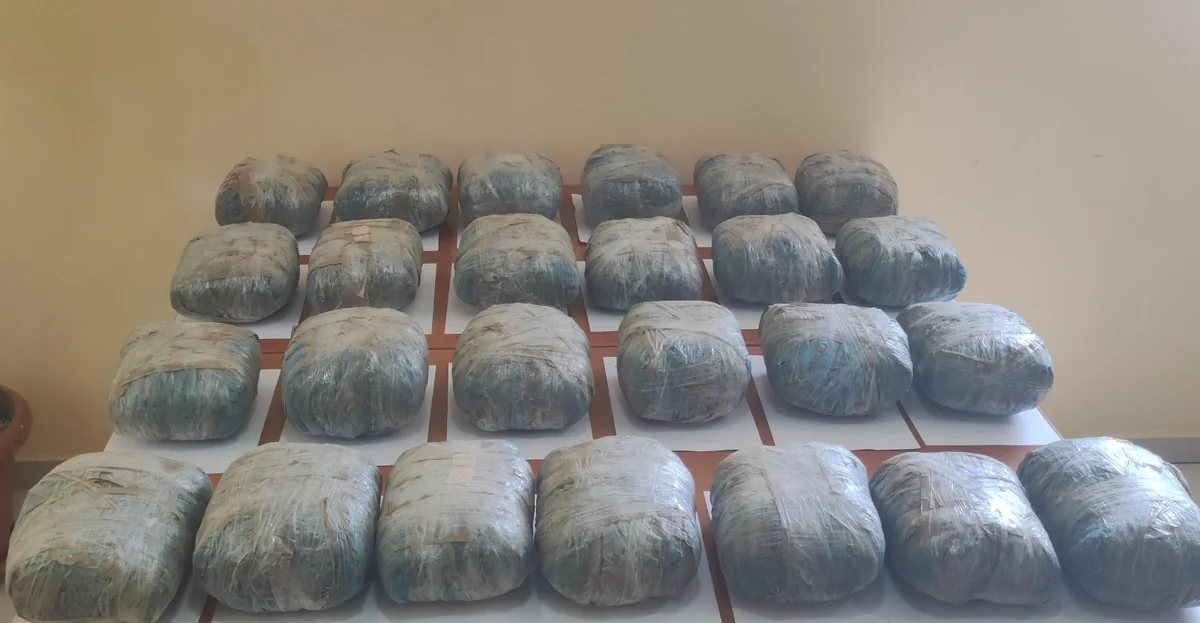 İrandan Azərbaycana 43 kiloqrama yaxın narkotik keçirilməsinin qarşısı alınıb