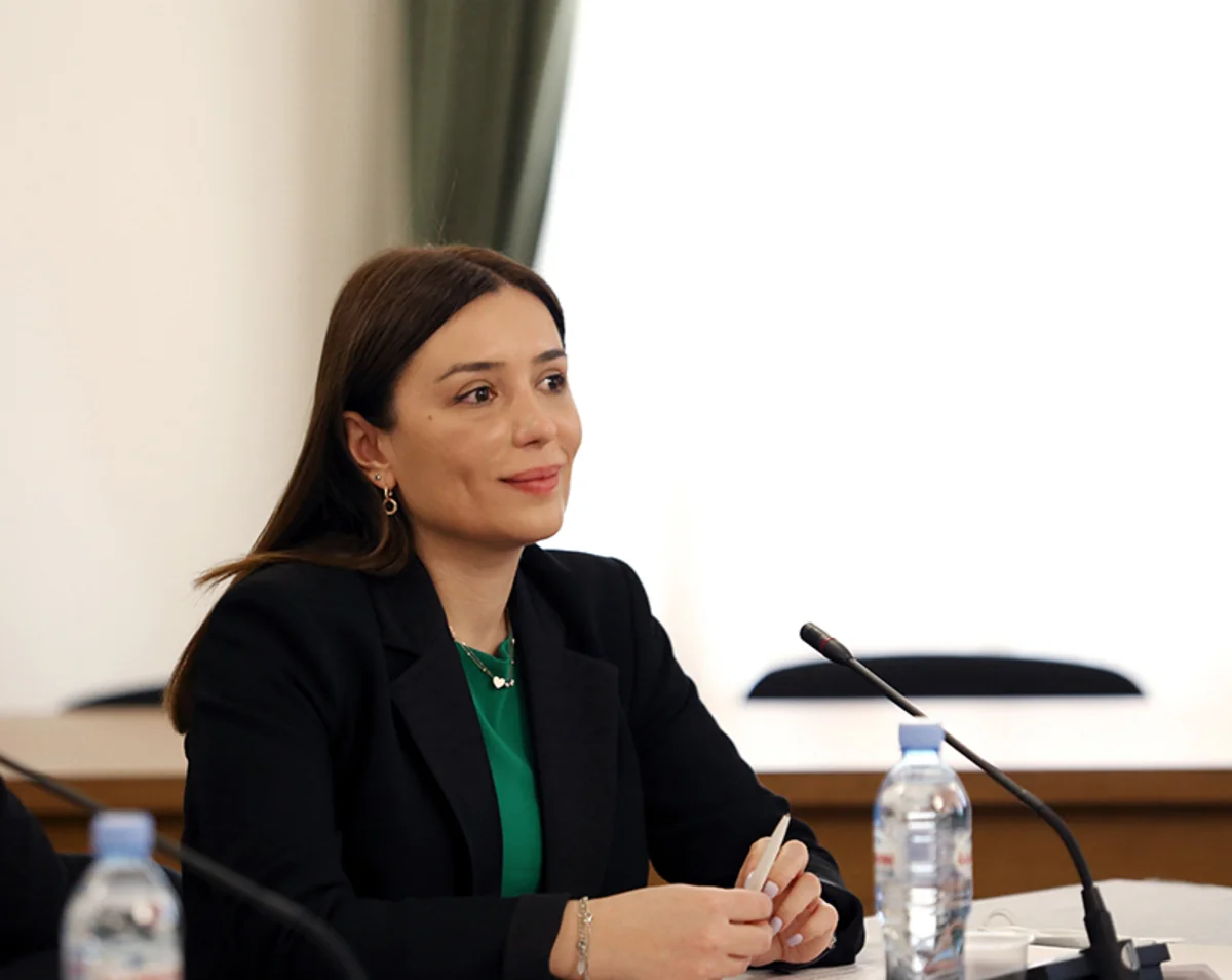 Nino Tandilashvili: COP29 - opportunity for South Caucasus countries to discuss regional challenges
