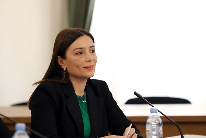 Nino Tandilaşvili: “COP29 Cənubi Qafqaz ölkələri üçün regiondakı problemləri müzakirə etmək imkanıdır”