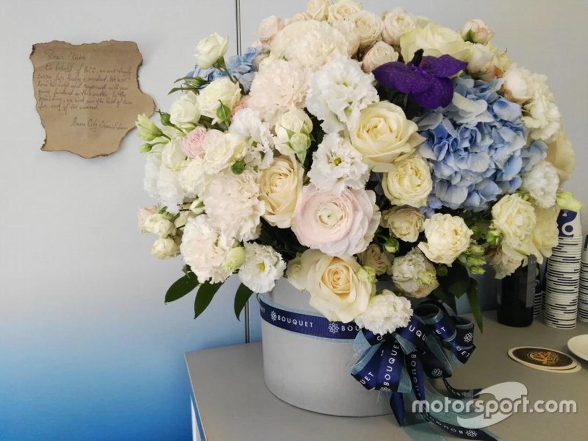 Formula 1: İtən baqajlar, üzrxahlıq mesajı, sevimli pişik, cəzalanan dünya çempionu