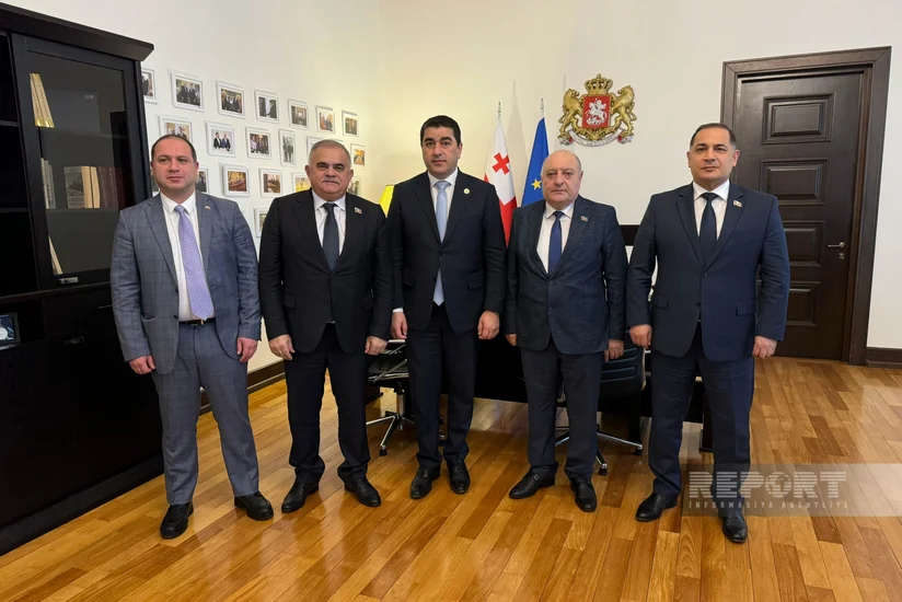 Gürcüstan Parlamentinin sədri: Azərbaycan bizə dəstəyi əməldə göstərib