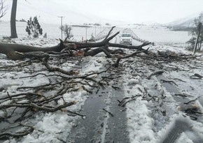 В ЮАР число погибших из-за непогоды достигло 49 человек
