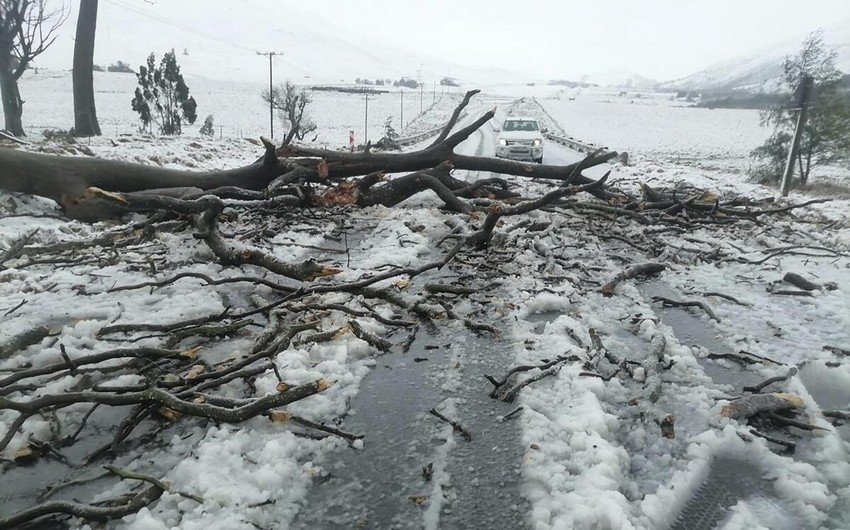 At least 49 dead in flooding in South Africa with toll expected to rise, officials say