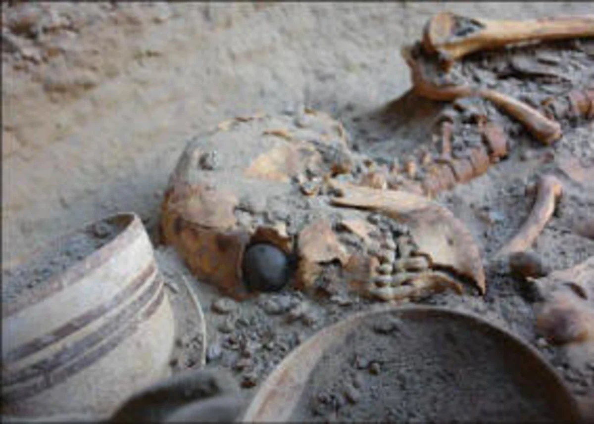 ​İranda 5 800 il əvvəl yaşamış insanın skeleti aşkar olunub