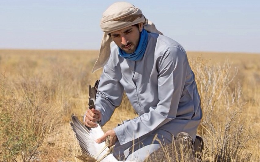 ​Minister Huseyn Bagirov comments on hunting of Arab princes in Azerbaijan