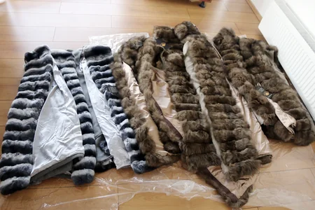 Gömrük orqanına düzgün bəyan edilməmiş xəz kürklər aşkara çıxarılıb