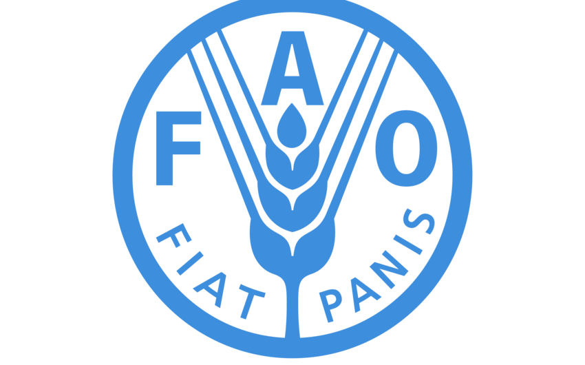 FAO Azərbaycanda 3 yeni layihə həyata keçirməyi planlaşdırır