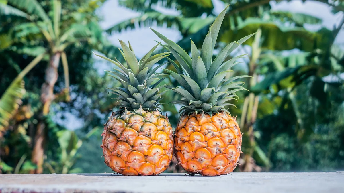 Azərbaycan İrandan ananas idxalını bərpa edib