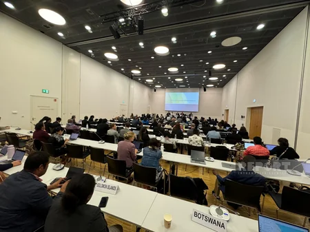 COP29 prezidenti kiçik ada dövlətləri üzrə Danışıqlar Qrupunun nümayəndələri ilə görüşüb