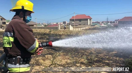Abşeronda zeytunluq yanıb, zəhərlənən var