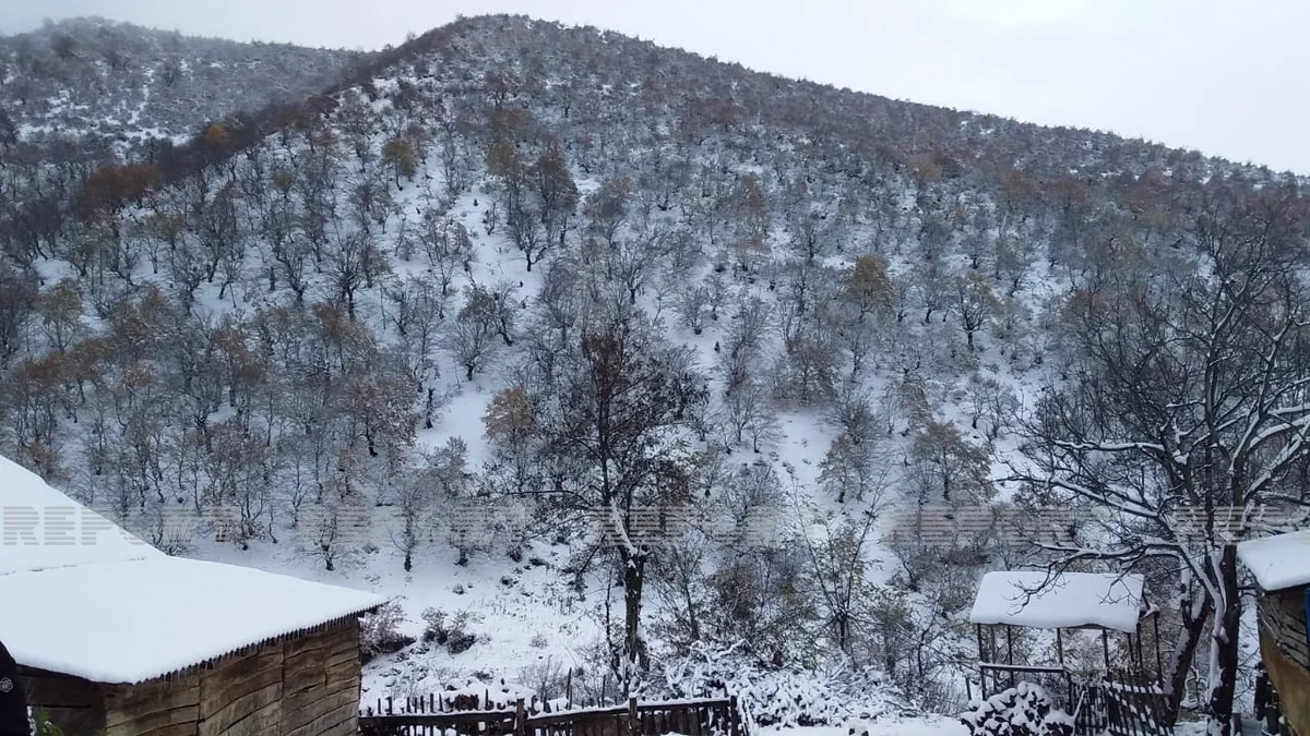 Cəlilabada ilk qar yağdı