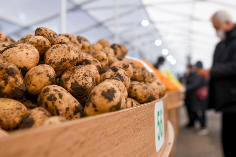 В Загатале пройдет сельскохозяйственная ярмарка