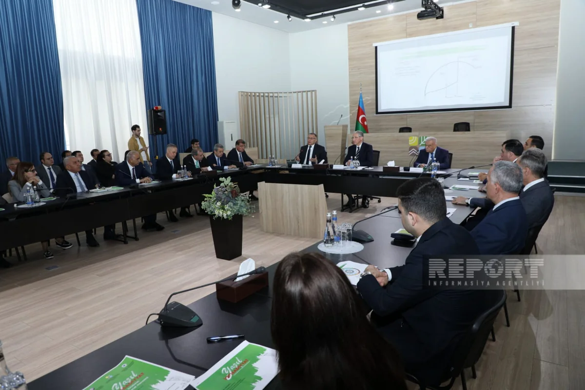 Gələn il işğaldan azad edilmiş ərazilərdə 130 hektar meyvə bağı salınacaq