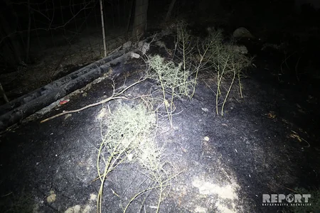 Bakıda partlayış baş verib, xəsarət alanlar var - VİDEO - YENİLƏNİB-2