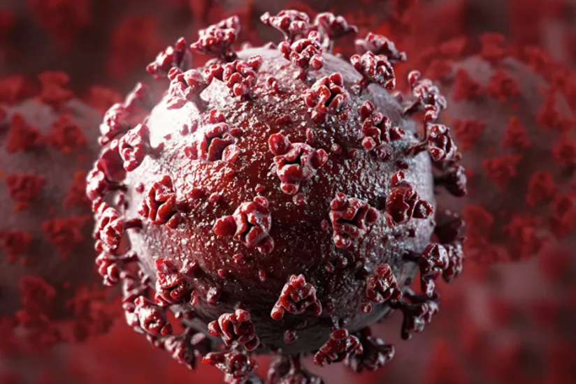 В Израиле обнаружили новый штамм COVID-19