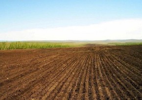 В Азербайджане определяются правовые основания для отказа в регистрации прав на землю