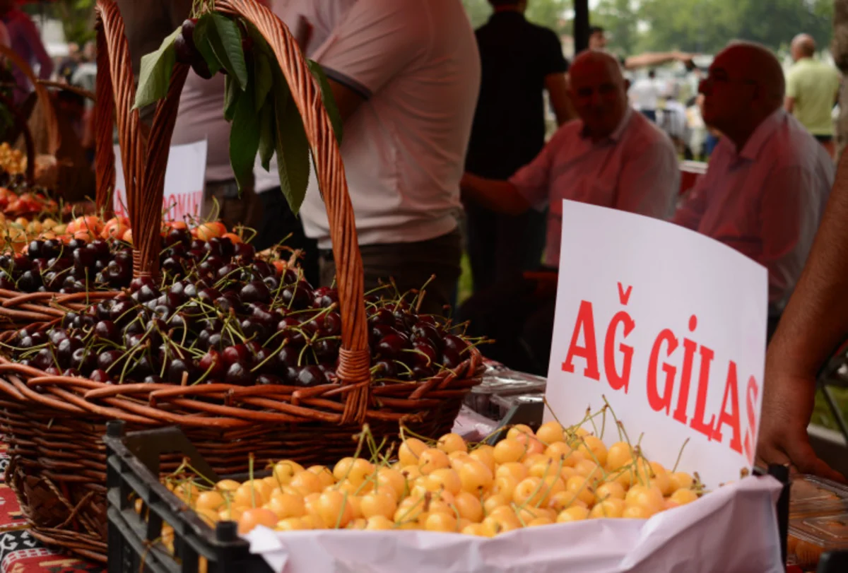 Azərbaycanda keçiriləcək Məhsul Festivallarının detalları açıqlanıb