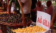 Azərbaycanda keçiriləcək Məhsul Festivallarının detalları açıqlanıb 