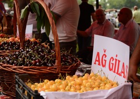Azərbaycanda keçiriləcək Məhsul Festivallarının detalları açıqlanıb 
