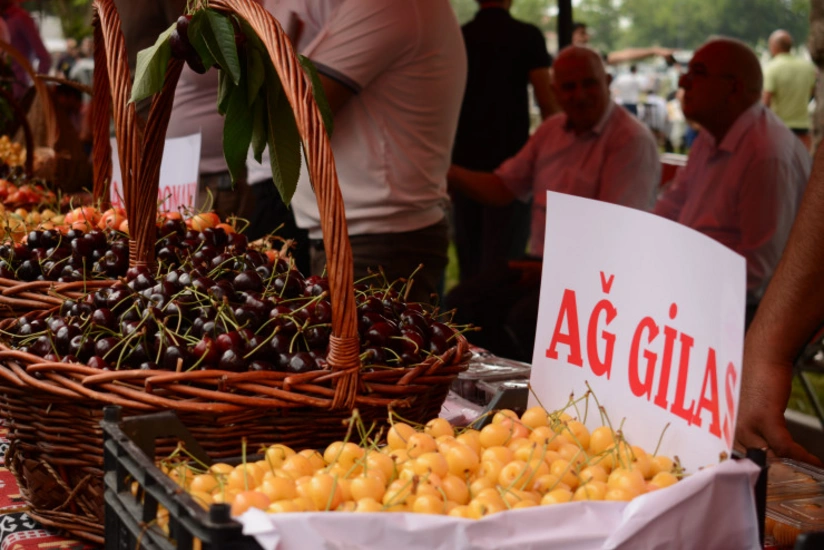 Azərbaycanda keçiriləcək Məhsul Festivallarının detalları açıqlanıb