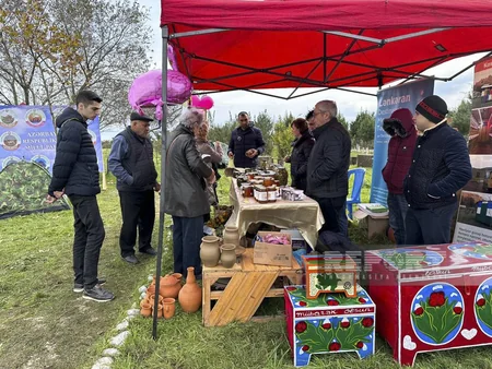 Qızılağac Milli Parkında Flaminqo Festivalı keçirilib - YENİLƏNİB