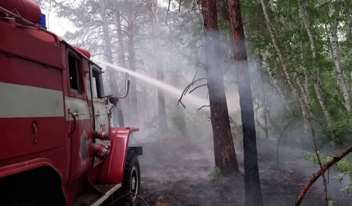Qazaxıstan FHN: Ölkənin şərqində yanğınla bağlı vəziyyət sabitləşib