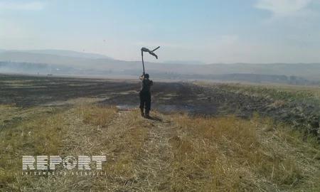 Şabranda biçilmiş əkin sahələrində baş vermiş yanğın söndürülüb - YENİLƏNİB - VİDEO