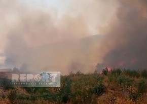 Пожар в горной местности в Агдере перекинулся на лесной массив