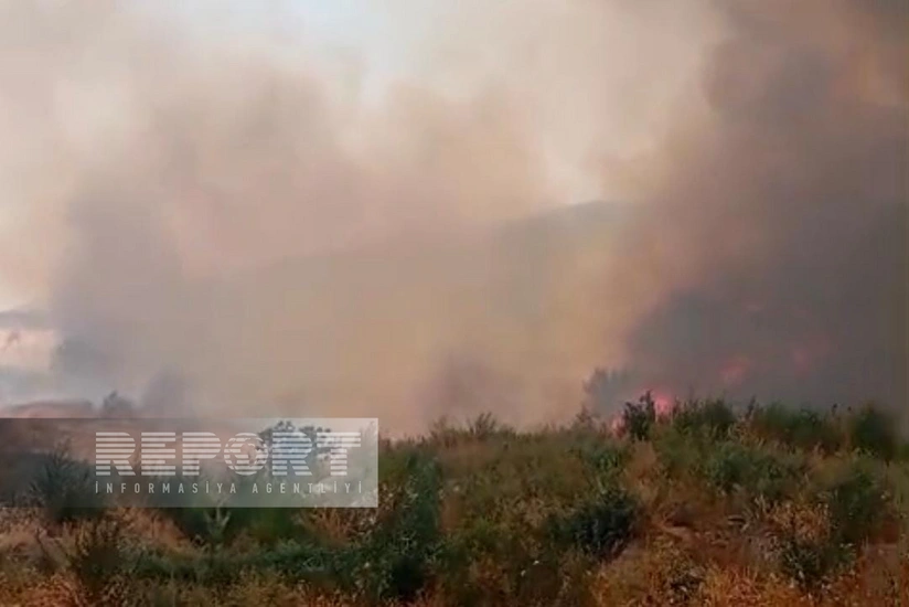Ağdərədə dağlıq ərazidə yanğın meşə massivinə yayılıb