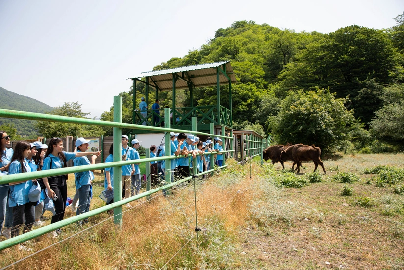 Zubrları təbiətimizə qaytaraq! adlı ekoloji yay düşərgəsi keçirilib