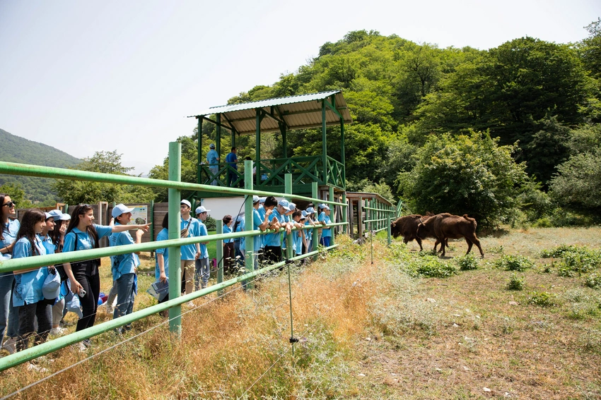 Zubrları təbiətimizə qaytaraq! adlı ekoloji yay düşərgəsi keçirilib