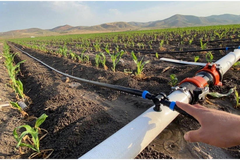 I rübdə subartezian quyuları ilə 183 min hektar əkin sahəsi suvarılıb