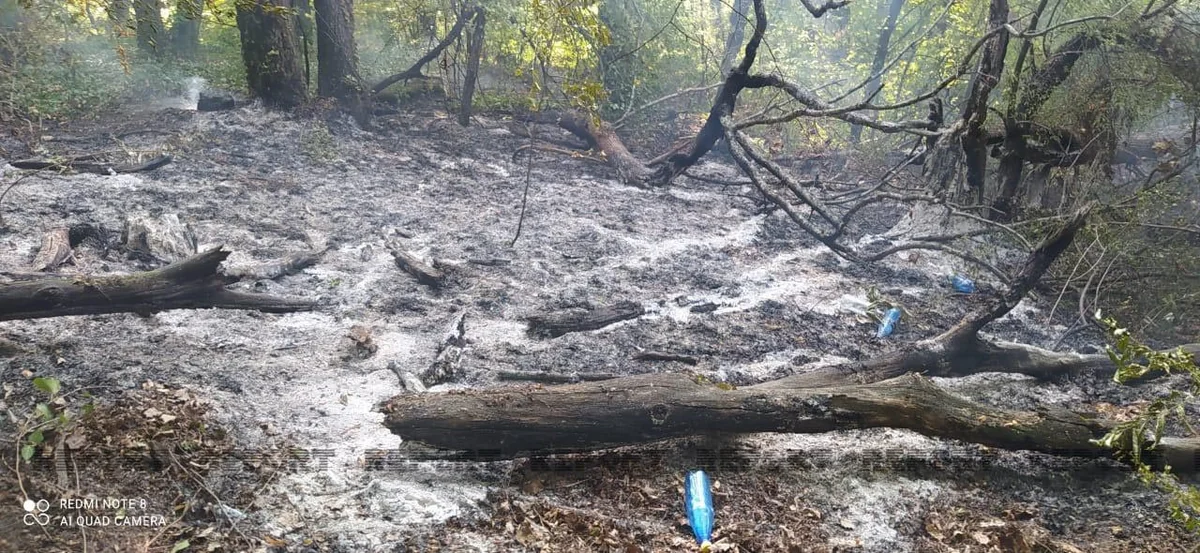 Qaxda dağlıq ərazidə baş vermiş yanğın məhdudlaşdırılıb