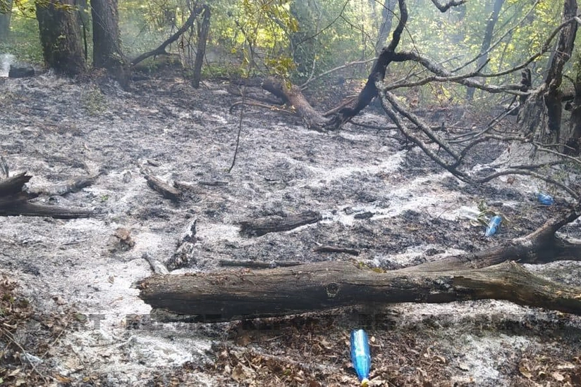 Qaxda dağlıq ərazidə baş vermiş yanğın məhdudlaşdırılıb