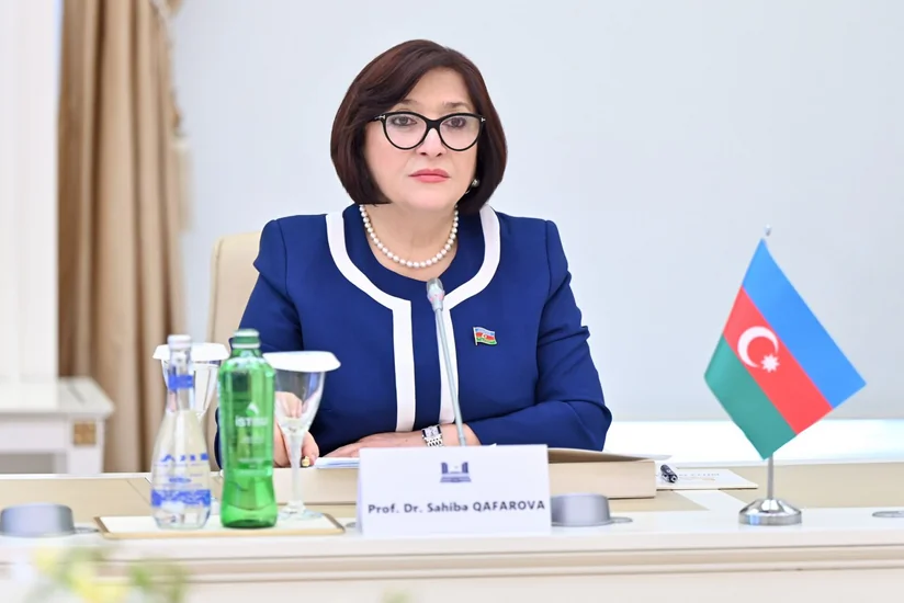 Сахиба Гафарова рассказала дагестанскому коллеге о мирному процессе между Азербайджаном и Арменией