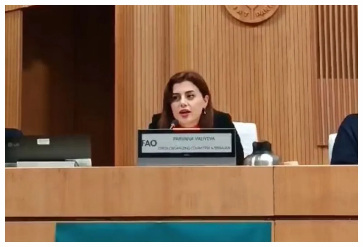 Pərvanə Vəliyeva: Azərbaycan COP29-da ölkələr arasında körpü rolunu oynamaq üçün səy göstərir