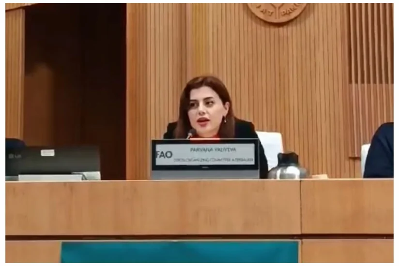 Pərvanə Vəliyeva: Azərbaycan COP29-da ölkələr arasında körpü rolunu oynamaq üçün səy göstərir