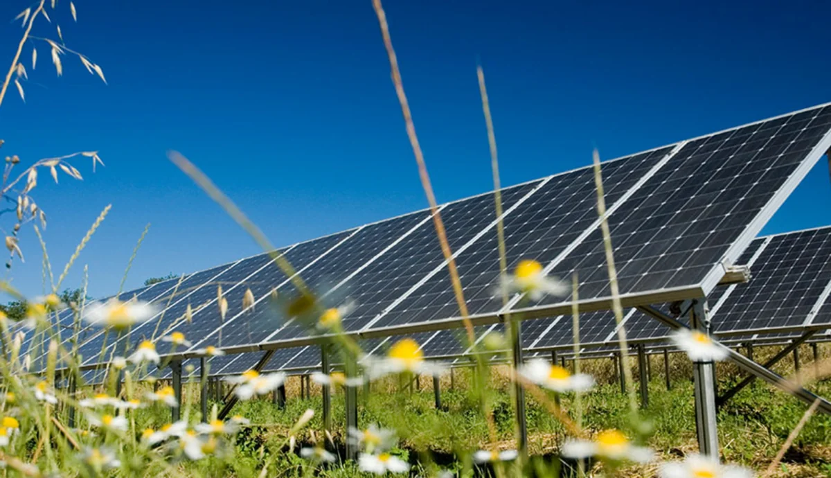 France eyes cutting dependence on non-renewables to 40%