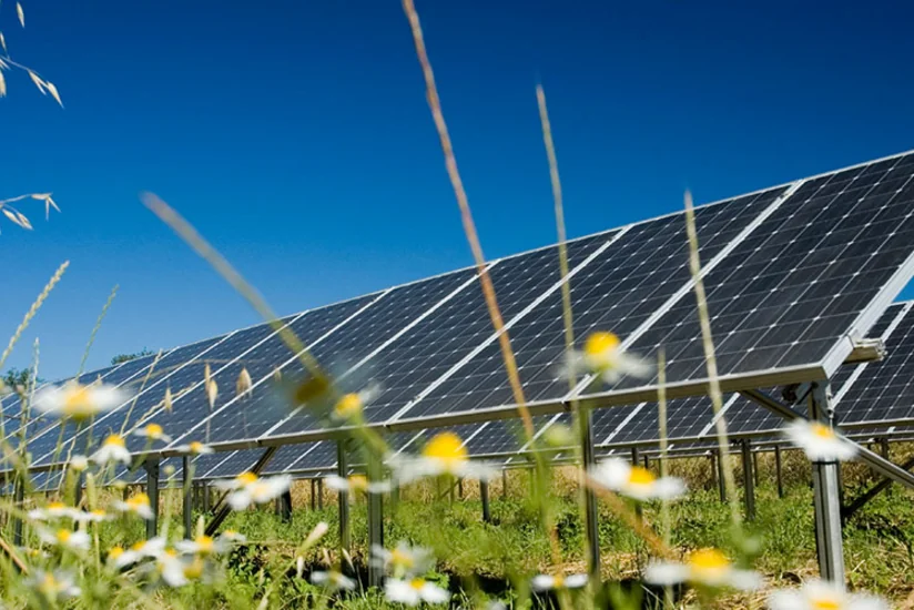 France eyes cutting dependence on non-renewables to 40%